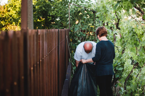 istock Husband and wife governing vineyard 686244968