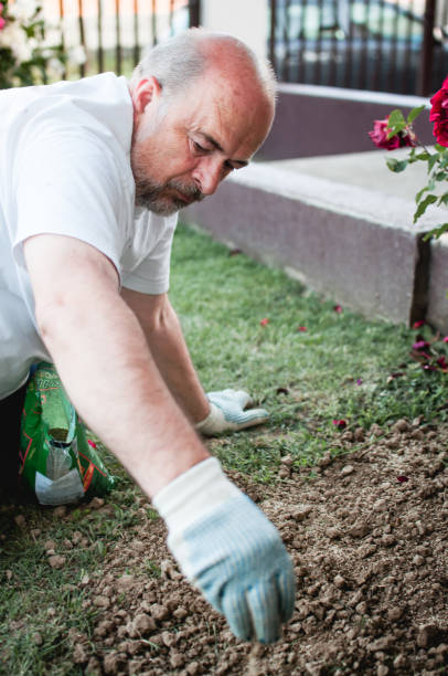 istock The man governing lawn 686245184