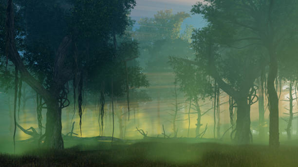 illustrazioni stock, clip art, cartoni animati e icone di tendenza di foresta nebbiosa scura all'alba o al tramonto - pine sunset night sunlight