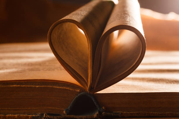 istock Book pages like a heart 686261344