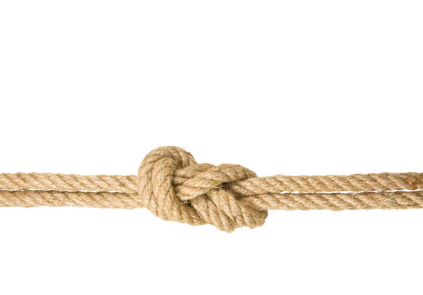 istock Strong rope with a knot, isolated against the white background 686261500