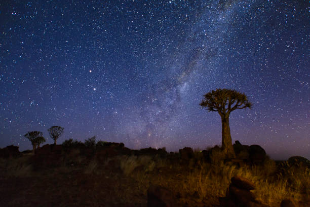 istock Milky way at quiver tree forest national park of Namibia 686268070