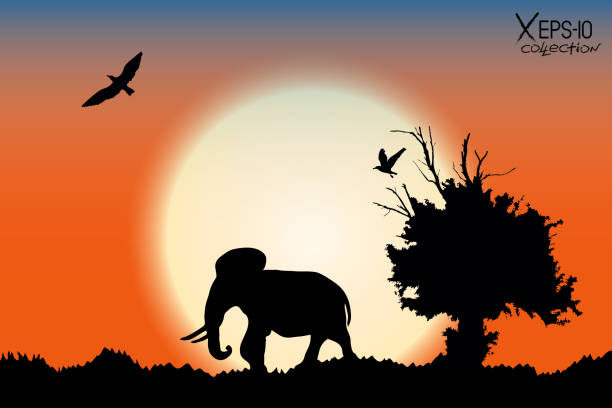 istock Orange sunrise in the jungle with old tree, birds and elephant. Vector background 686271340