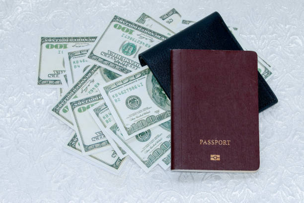 istock Wallet, passport and dollar 686278916