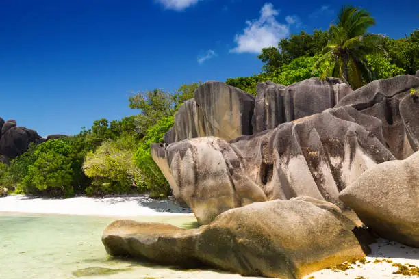 Photo of Tropical paradise Anse Source d'Argent