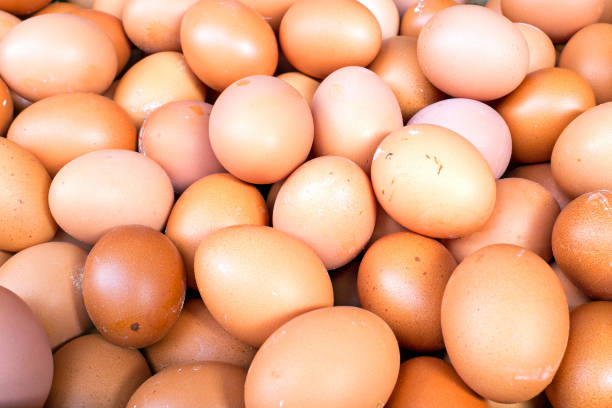 istock Bunch of fresh eggs on the market 686282618