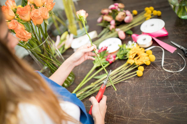 istock Woman cutting flower stems 686284848