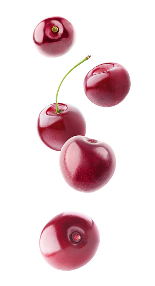 Isolated flying berries. Five falling sweet cherry fruits isolated on white background with clipping path