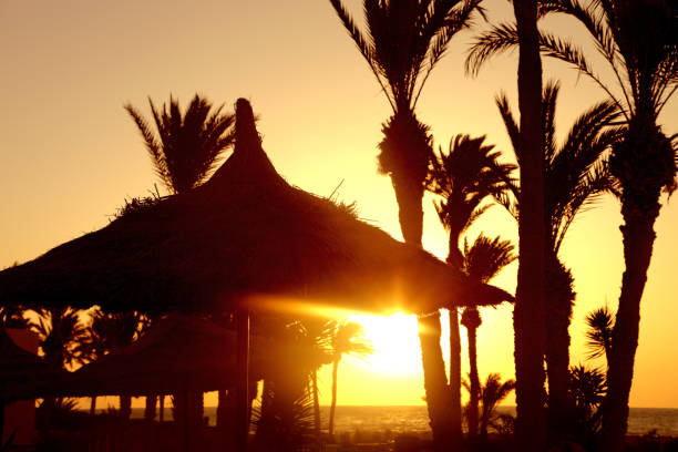 Sunset landscape Palms and umbrellas on the background of the landscape. tunisia beach stock pictures, royalty-free photos & images