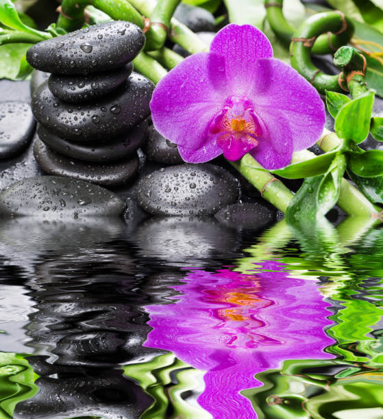 istock Zen stones, orchid flower and bamboo reflected in a water 686288830