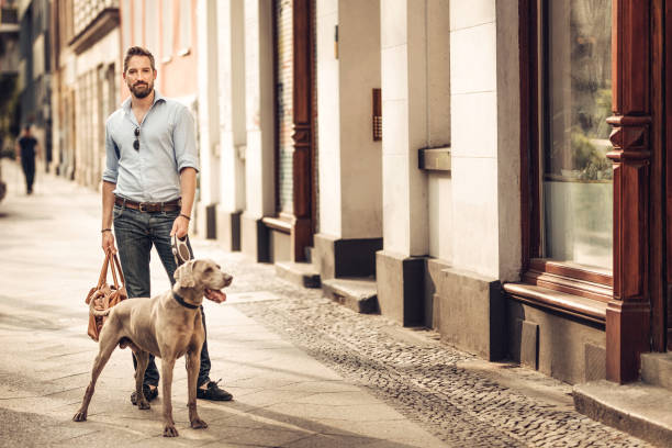 istock Taking the dog for a walk in the city 686289020