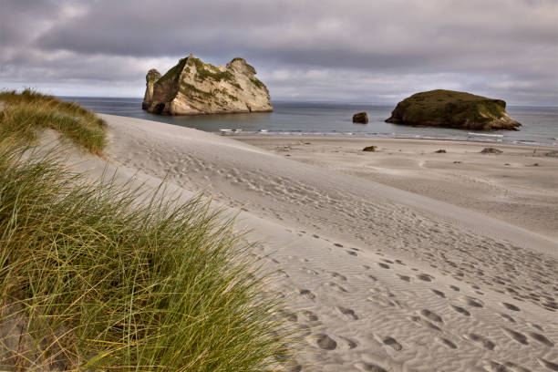 istock Farewell Spit New Zealand 686305358