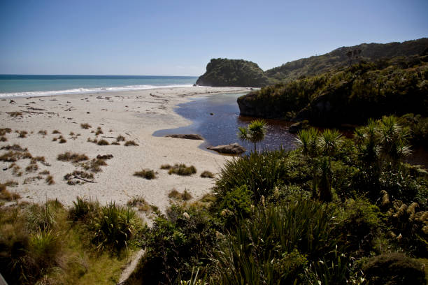 istock Ocean View New Zealand 686305382