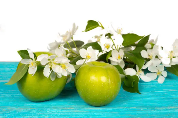 apple and apple tree blossoms on a wooden turquoise table