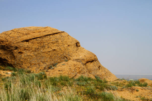 Steppe small rocks of yellow stone with green grass on them