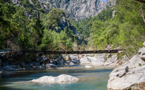 istock Suspension bridge in the middle of the forest 686313016