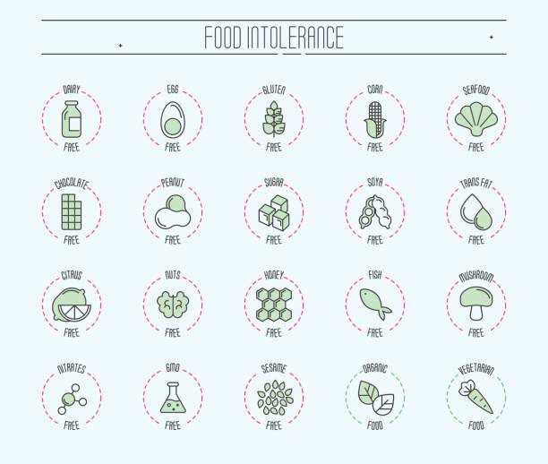 성분 경고 레이블 아이콘의 집합입니다. 음식 한 편협 일반적인 알레르기 증상 (글루텐, 유 당, 간장, 옥수수 등), 설탕, 트랜스 지방, 채식, 유기 기호 벡터 선 그림입니다. - peanut allergy food fruit stock illustrations
