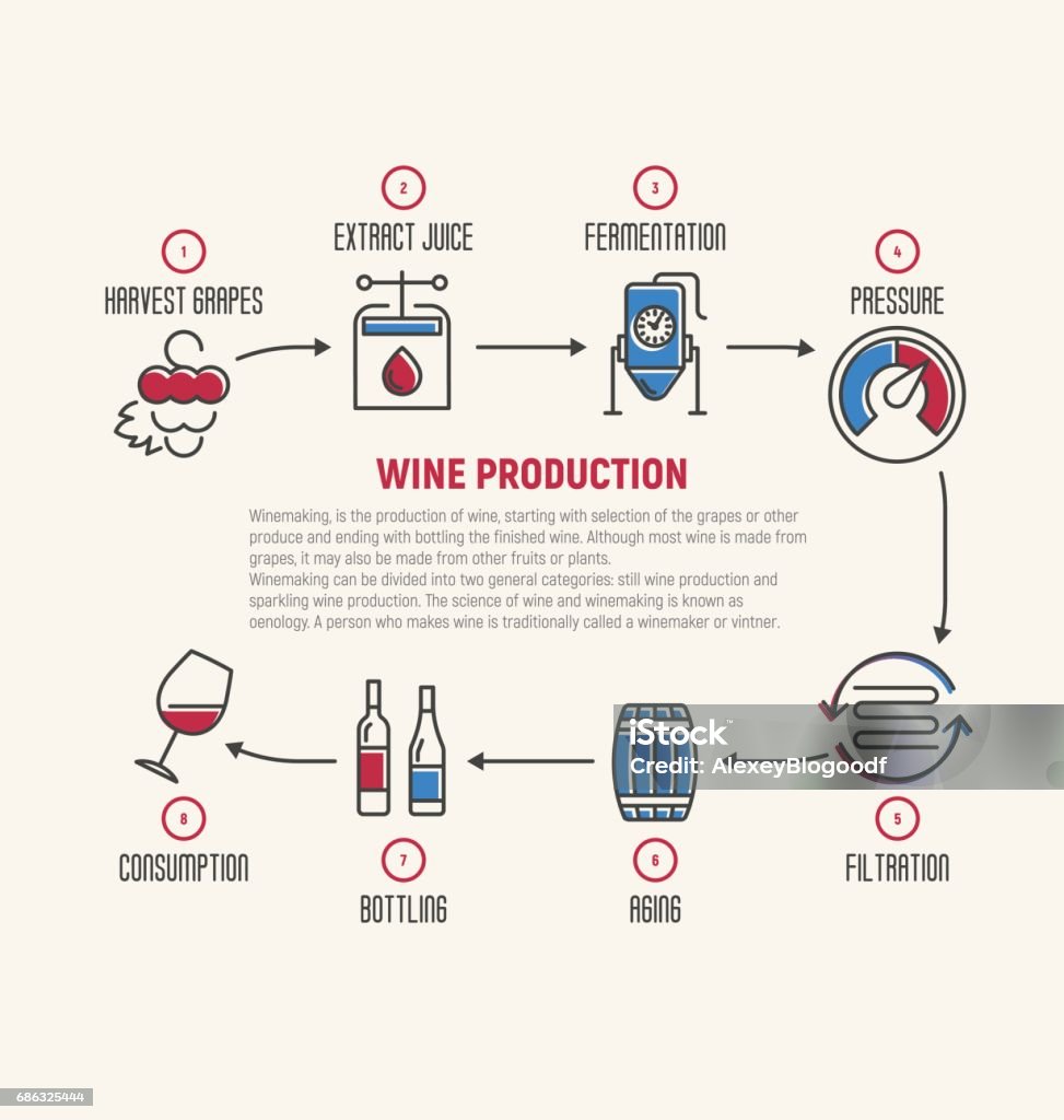 Dunne Lijn Infographic Van Wijn Gisting Maken Hoe Wijn Gemaakt Wordt Wijn Elementen Maken Een Wijn De Wijnmaker Gereedschap Set En De Wijngaard Productie Van Alcoholhoudende Dranken Vectorillustratie Stockvectorkunst en meer beelden Dunne Lijn Infographic Van Wijn Gisting Maken Hoe Wijn Gemaakt Wordt Wijn Elementen Maken Een Wijn De Wijnmaker Gereedschap Set En De Wijngaard Productie Van Alcoholhoudende Dranken Vectorillustratie Stockvectorkunst En Meer Beelden
