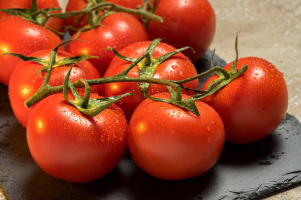 istock bunch of red ripe wet tomatoes 686325632