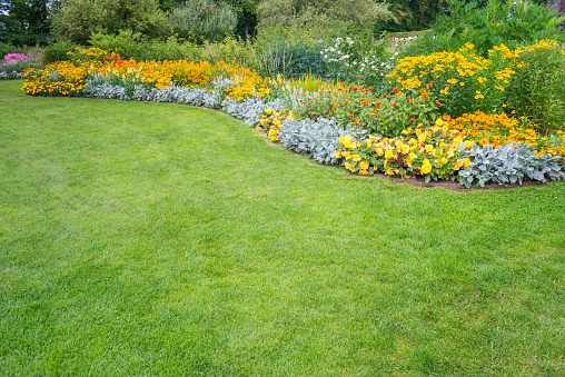 Colorful summer flowerbeds and green lawn.