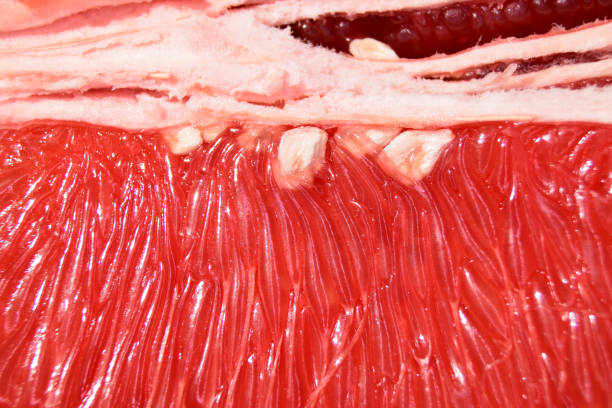 istock Closeup of a juicy grapefruit. 686326304