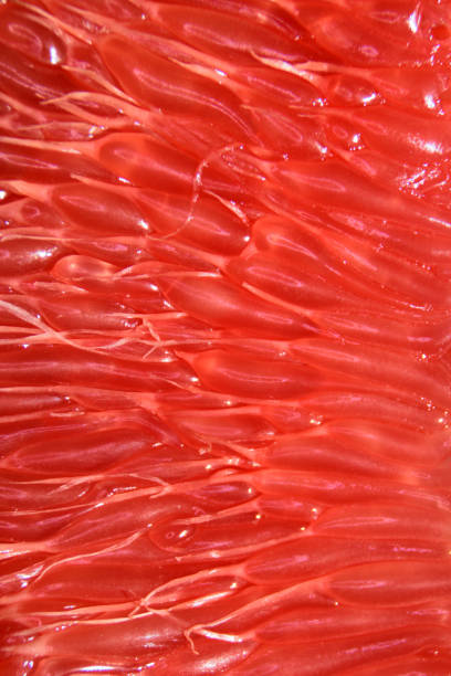 istock Closeup of a juicy grapefruit. 686326326