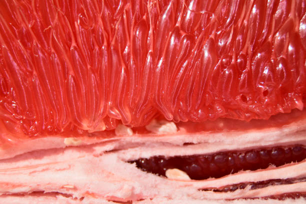 istock Closeup of a juicy grapefruit. 686326384