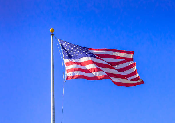 istock American flag flies in strong breeze - late afternoon light 686329668