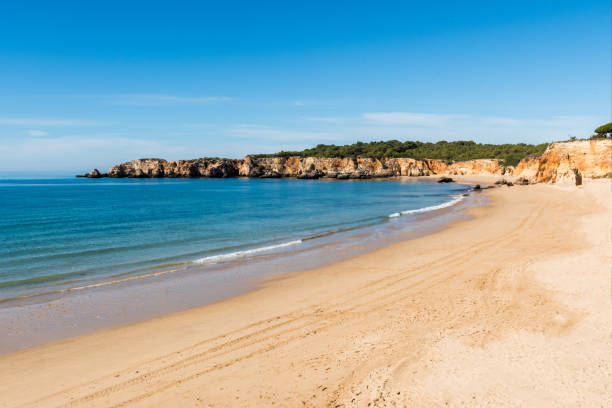 istock Praia da Rocha in Portimao, Algarve 686350166