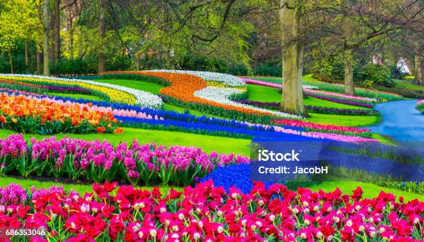 Spring Flowers In A Park Stock Photo - Download Image Now - Keukenhof Gardens, Netherlands, Public Park