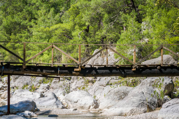 istock Suspension bridge in the middle of the forest 686363100