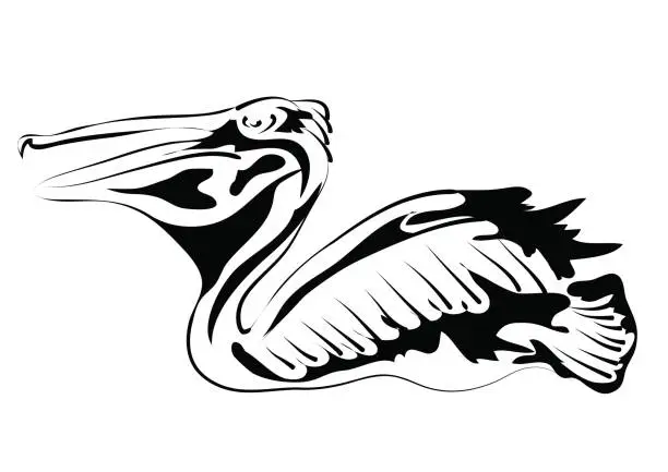 Vector illustration of pelican