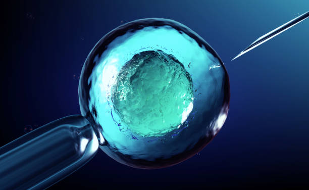 illustrazioni stock, clip art, cartoni animati e icone di tendenza di rendering 3d di un'inseminazione artificiale o fecondazione in vitro di un ovulo, ovulo o zigote - egg cell