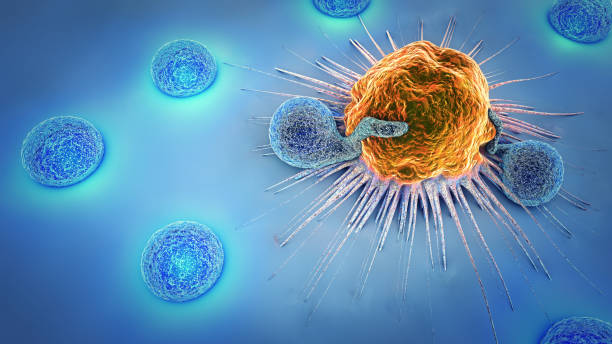 3d иллюстрация раковых клеток и лимфоцитов - раковая клетка иллюстрации stock illustrations