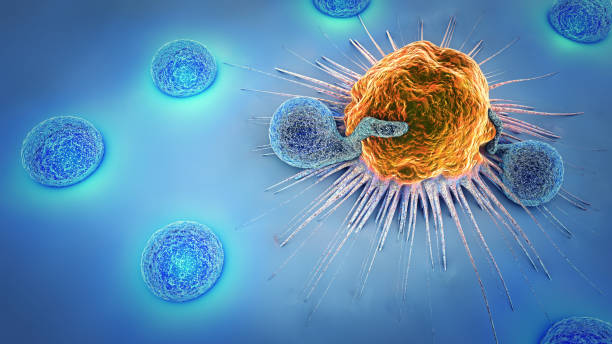 istock 3d illustration of a cancer cell and lymphocytes 686373144
