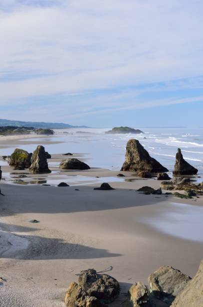 istock Coquille Point Beach, Kronenberg park, Bandon, Coos County, Oregon 686373914