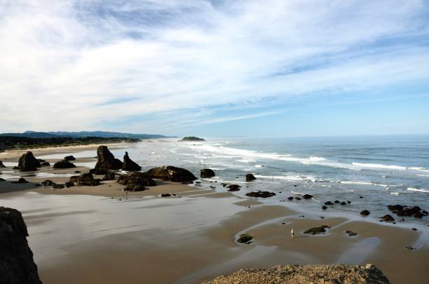 istock Coquille Point Beach, Kronenberg park, Bandon, Coos County, Oregon 686373996