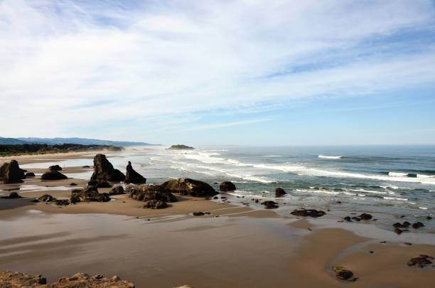 istock Coquille Point Beach, Kronenberg park, Bandon, Coos County, Oregon 686373998