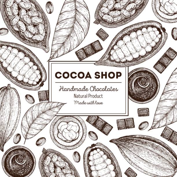 ilustrações, clipart, desenhos animados e ícones de quadro de ilustração vetorial com produtos de cacau. alimentos orgânicos, chocolate artesanal. elementos vintage para o projeto. - cocoa cocoa bean chocolate brazil