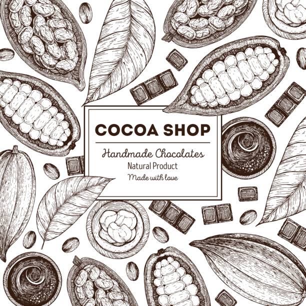 kakao ürünleri ile vektör çizim çerçeve. el yapımı çikolata, organik gıda. vintage elemanları tasarımı için. - çikolata illüstrasyonlar stock illustrations