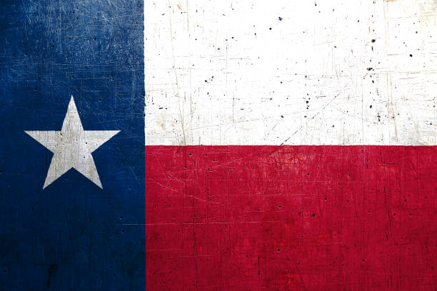istock Texas flag, USA, with an old metal texture 686383558
