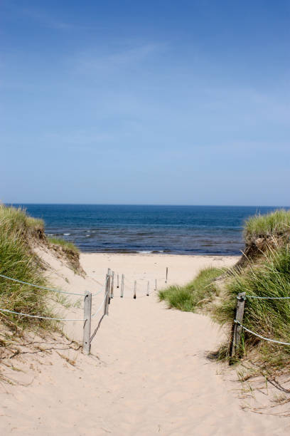 istock Around Prince Edward Island 686386316