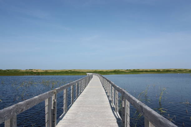 istock Around Prince Edward Island 686386318
