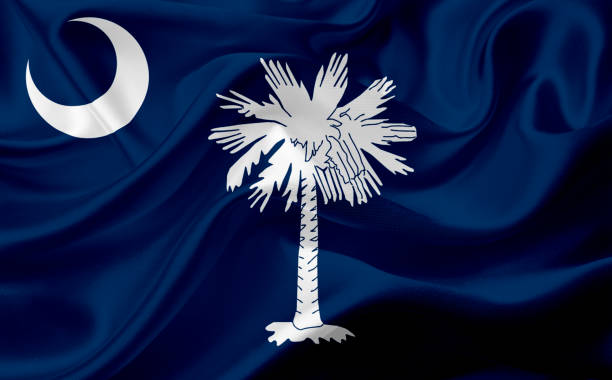 istock Flag of South Carolina with waving fabric texture 686387136