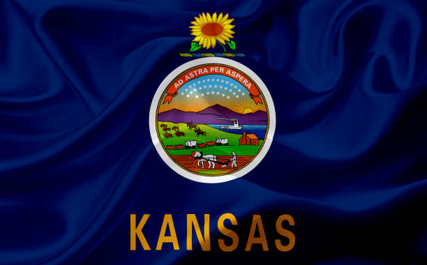 istock Flag of Kansas, USA with waving fabric texture 686387198