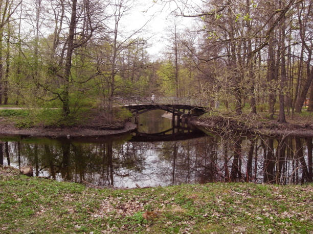 istock Rest in the park. Spring in the park. 686390056