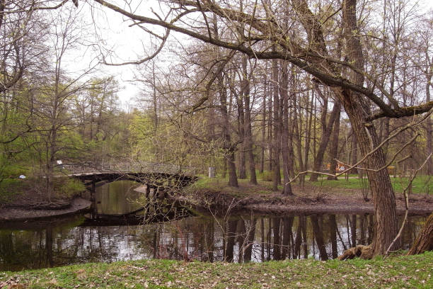 istock Rest in the park. Spring in the park. 686390058