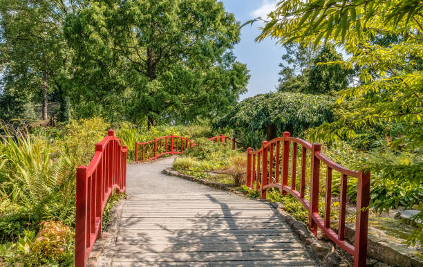 istock Japanese style bridges. 686392346