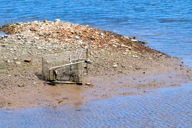 Shoppong trolley seen in the bed of the Shannon, the longest river in ireland, on its course through Limerick, a city in Ireland's southwest