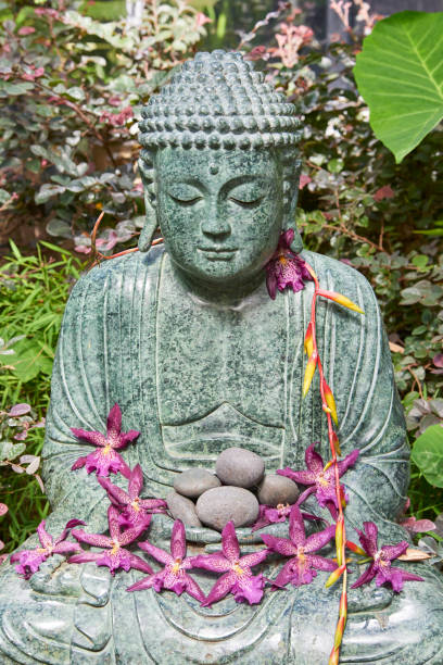 istock buddha statue at Selby Botanical Gardens 686403548